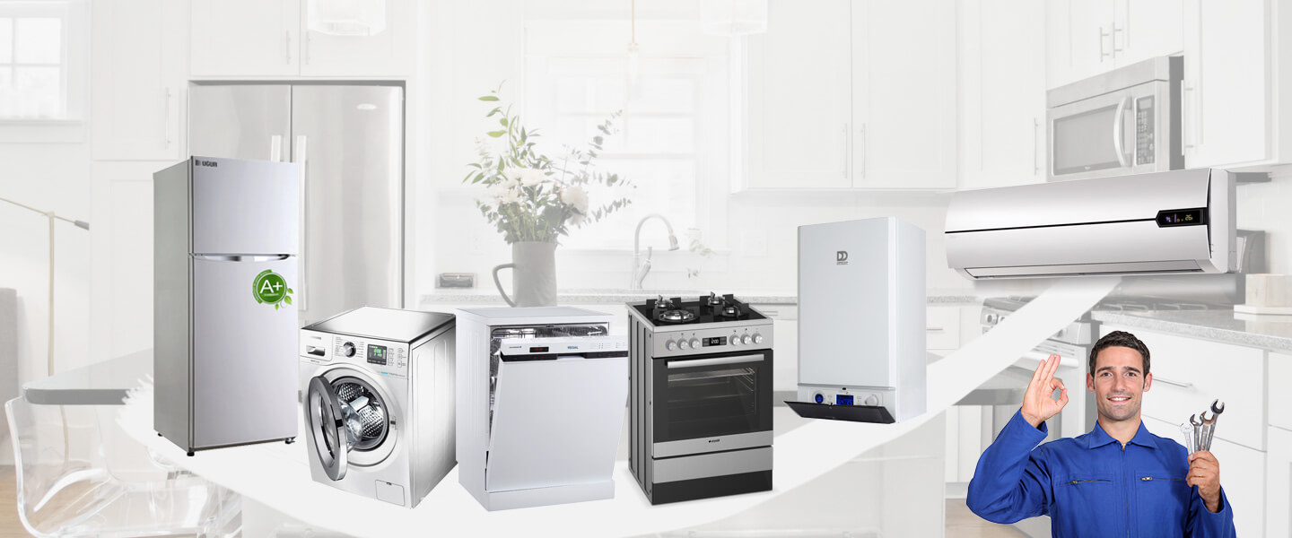 Altınekin Smeg Servisi